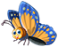 buterfly